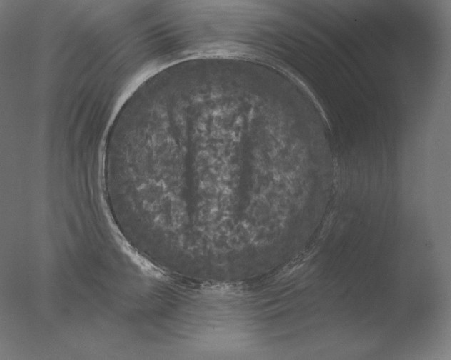 X0000076301099200610201537