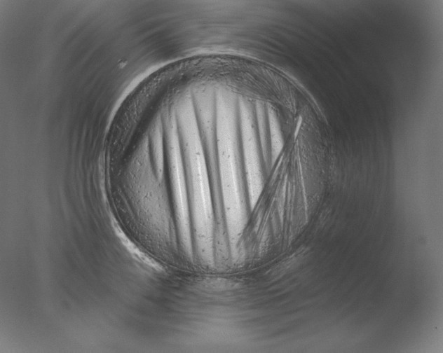 X0000076301100200610201537