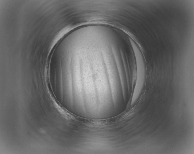 X0000076301101200610201537