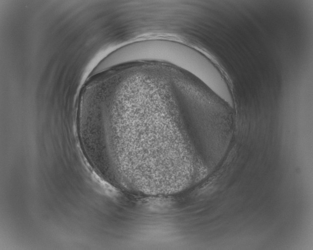 X0000076301102200610201537