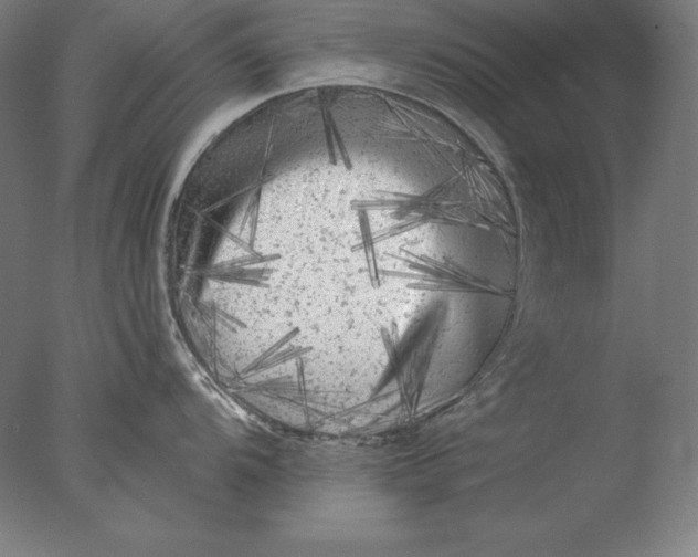 X0000076301104200610201537