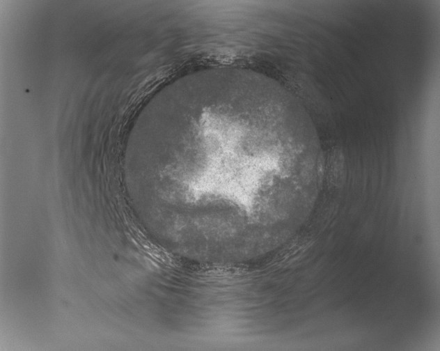 X0000076301105200610201536