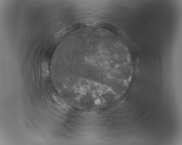 X0000076301106200610201536