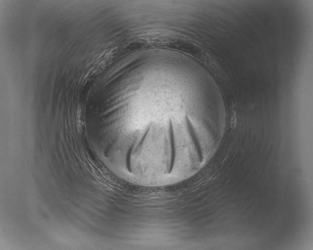 X0000076301108200610201536