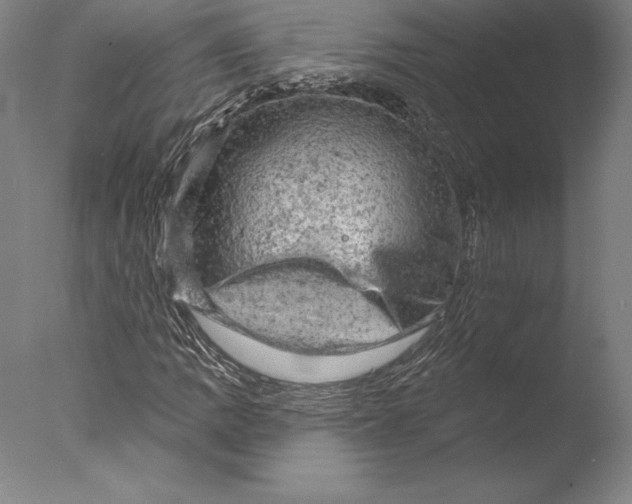 X0000076301109200610201536