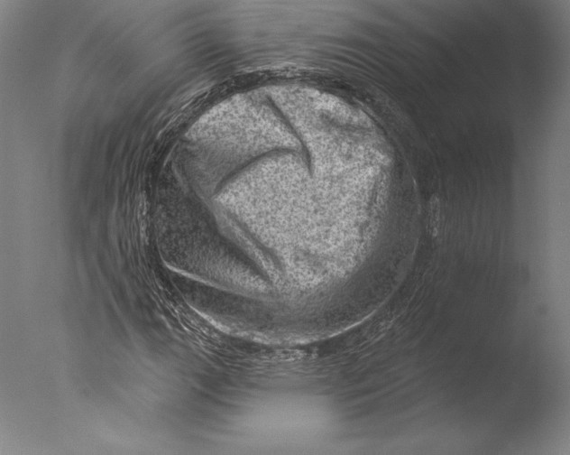 X0000076301111200610201536