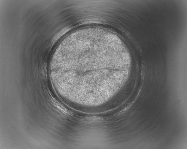 X0000076301113200610201537