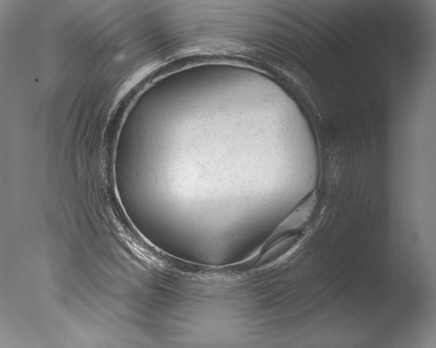 X0000076301114200610201537