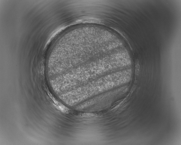 X0000076301115200610201537