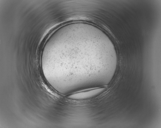 X0000076301116200610201537