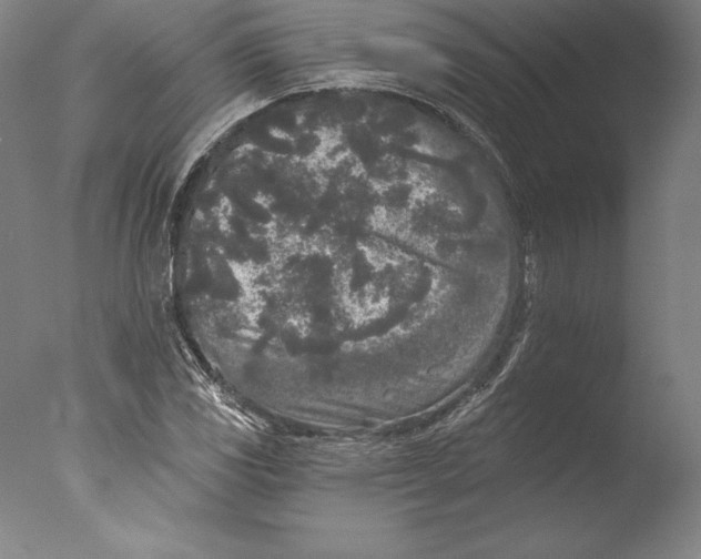 X0000076301117200610201537