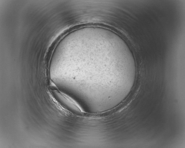 X0000076301118200610201537