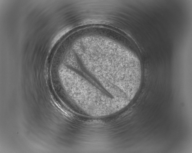 X0000076301119200610201537