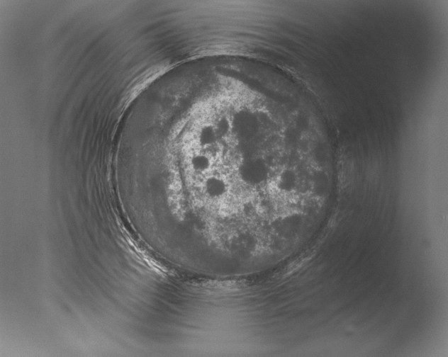 X0000076301121200610201537