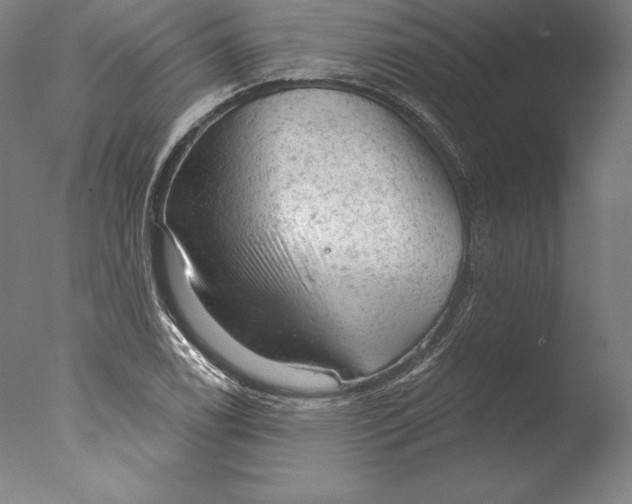 X0000076301122200610201537