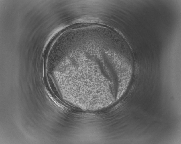 X0000076301123200610201537