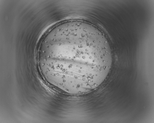 X0000076301124200610201537