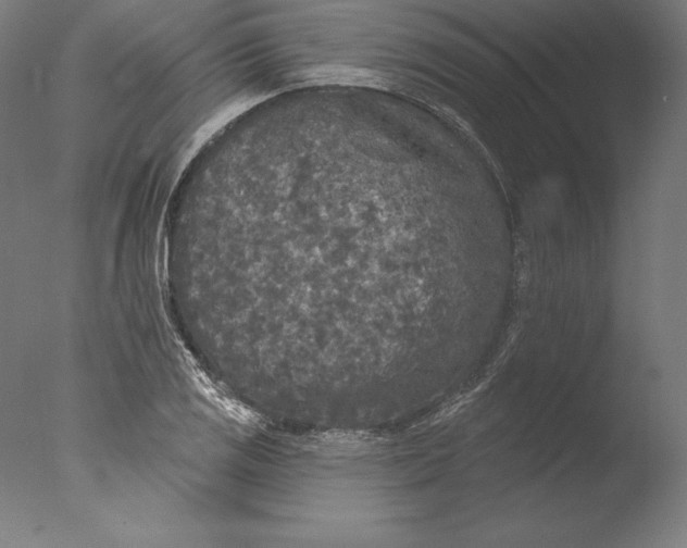 X0000076301125200610201537