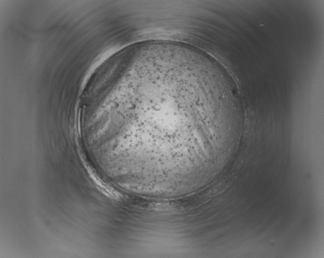 X0000076301128200610201537