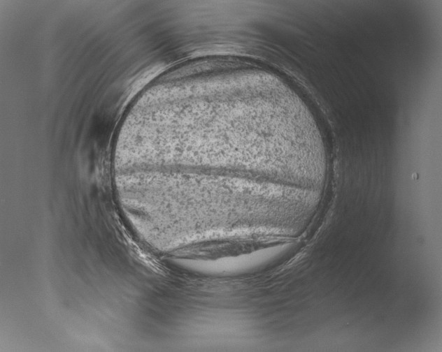 X0000076301129200610201537