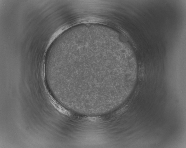 X0000076301130200610201537