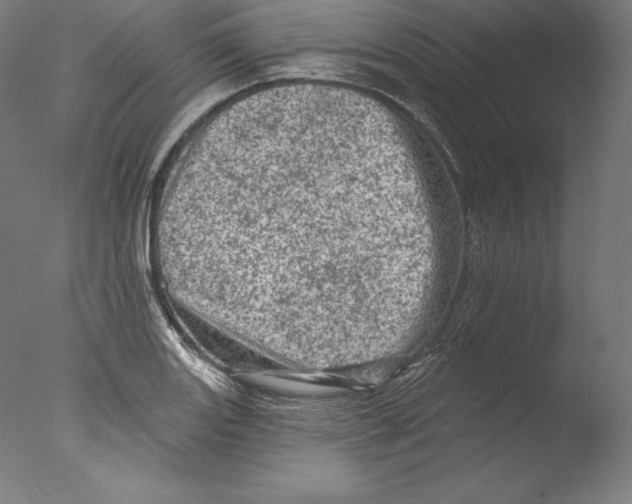 X0000076301131200610201537