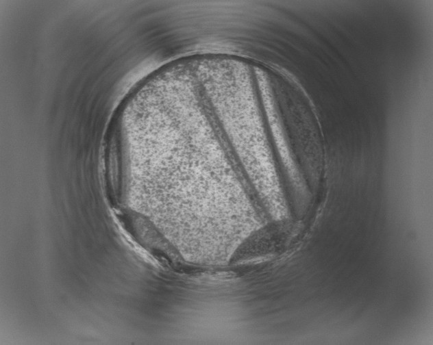 X0000076301133200610201537