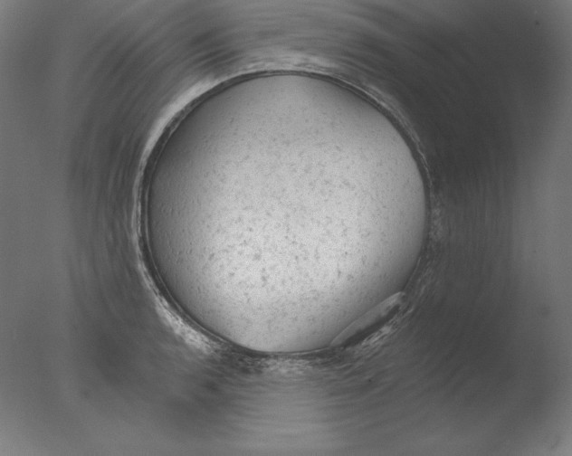 X0000076301136200610201537