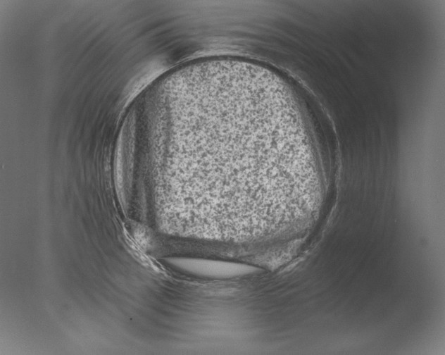 X0000076301137200610201537