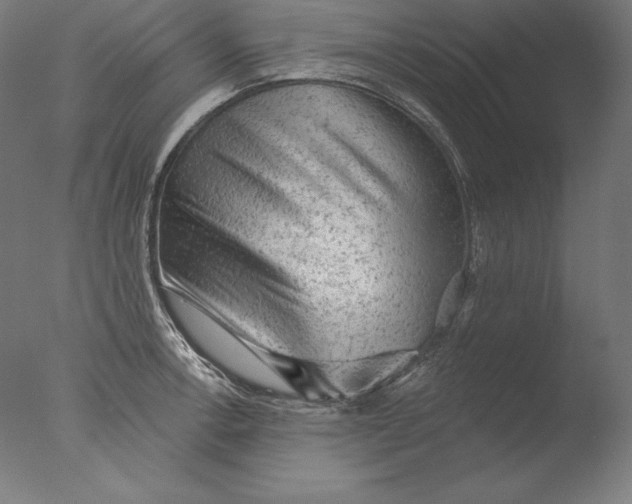 X0000076301138200610201537