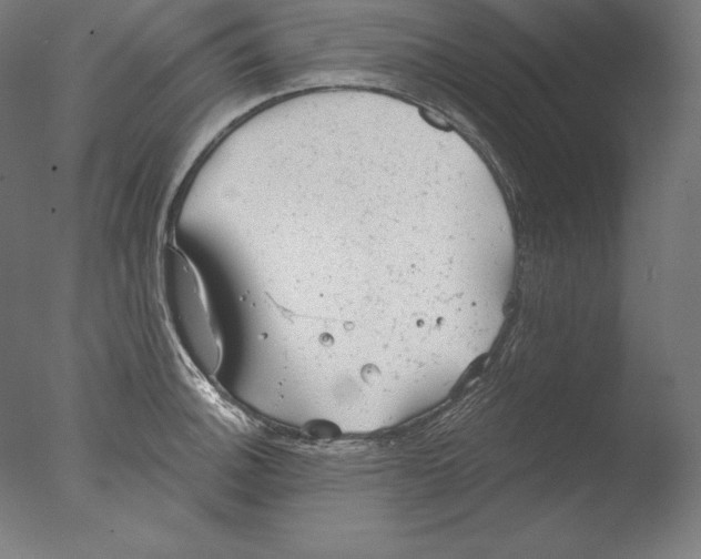 X0000076301140200610201537