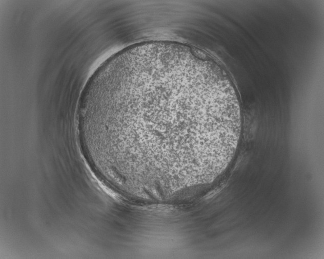 X0000076301141200610201537