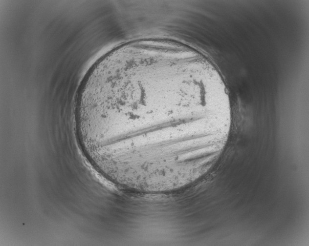 X0000076301142200610201537