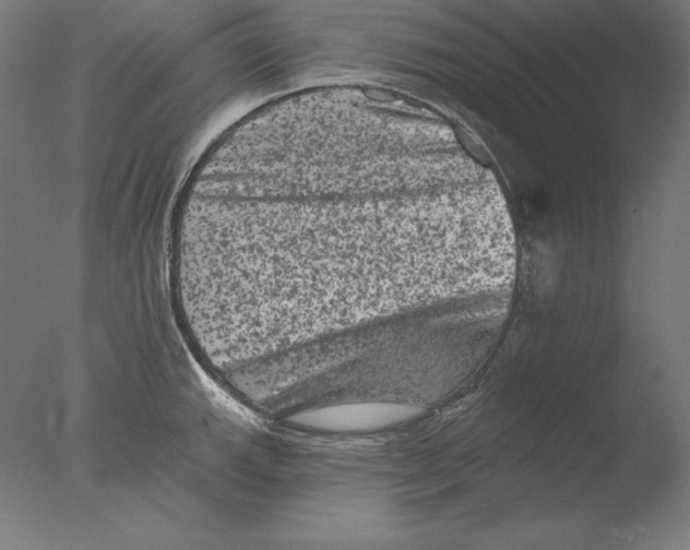 X0000076301143200610201537