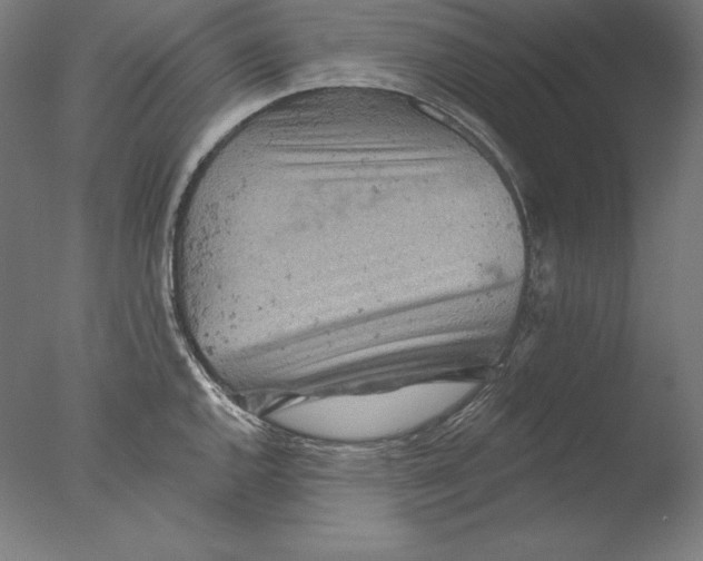 X0000076301144200610201537