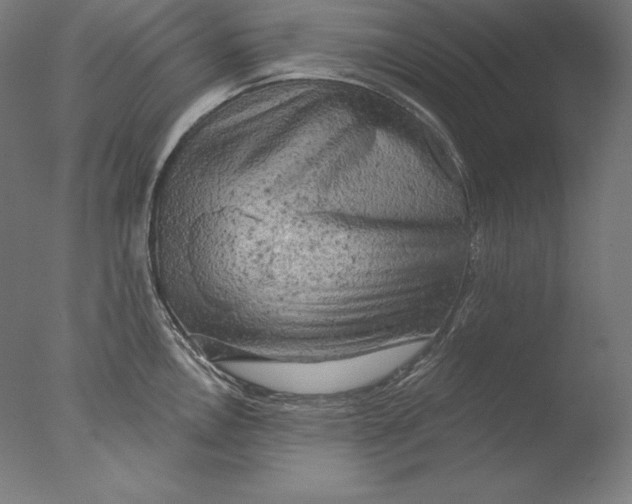 X0000076301146200610201537