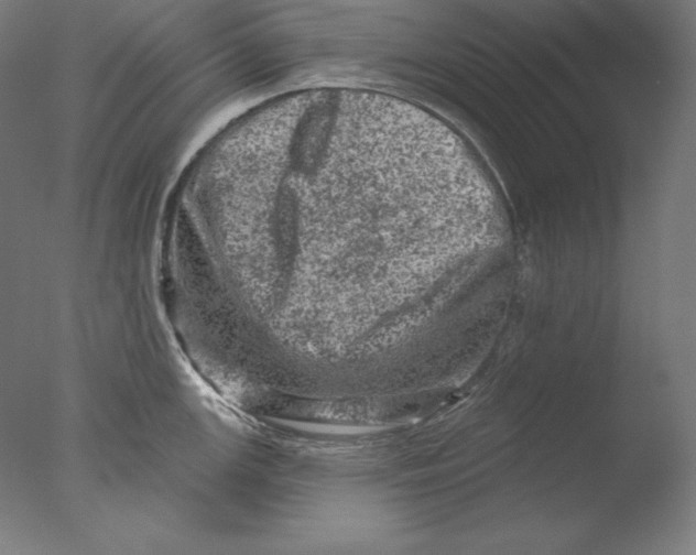 X0000076301147200610201537