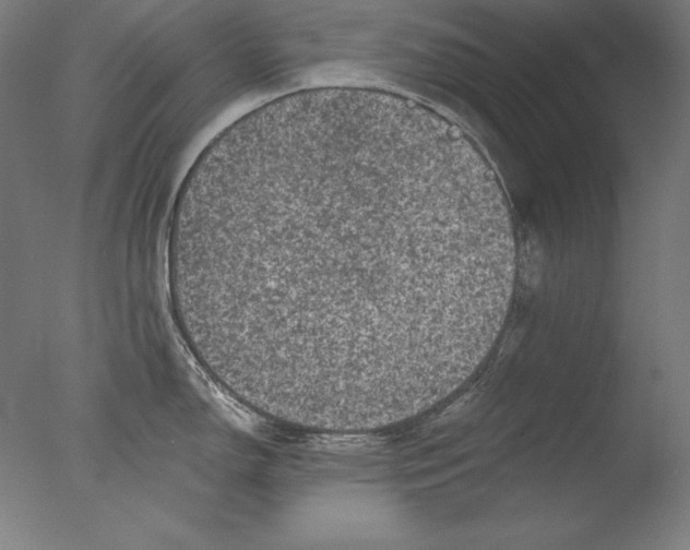 X0000076301150200610201537