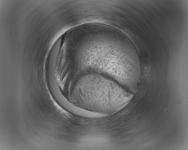 X0000076301151200610201537