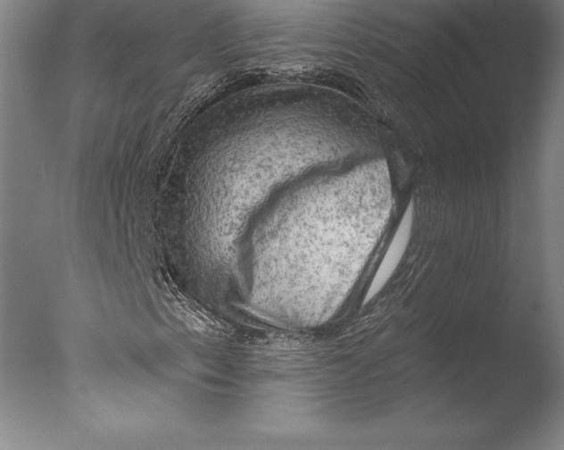 X0000076301153200610201536