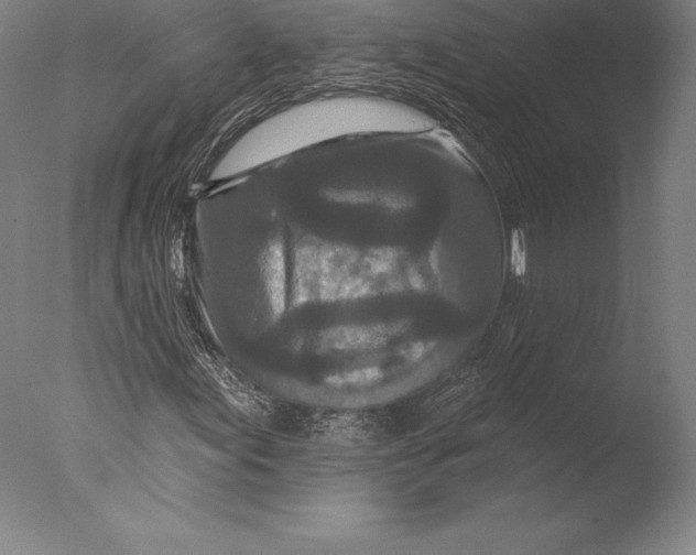 X0000076301155200610201536