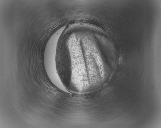 X0000076301156200610201536