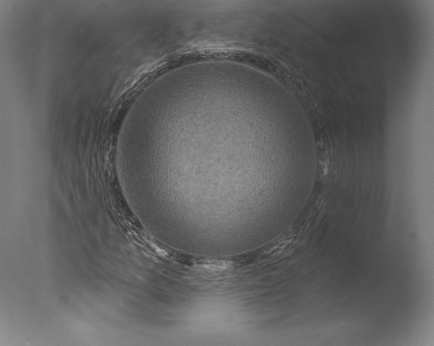 X0000076301157200610201536