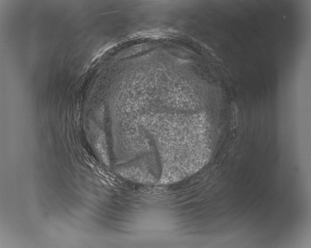 X0000076301158200610201536