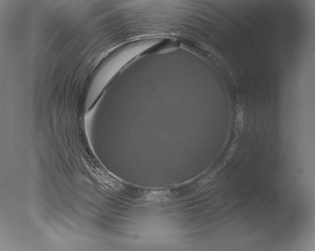 X0000076301161200610201536