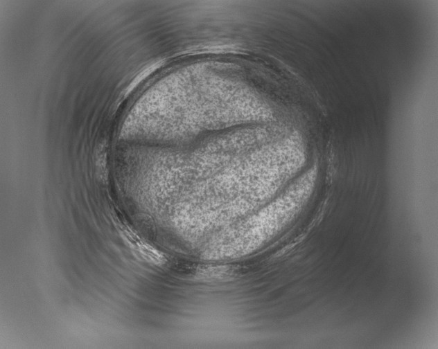 X0000076301162200610201536