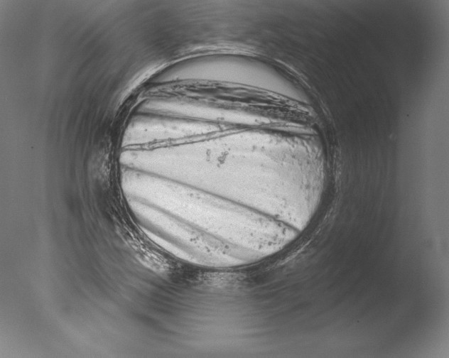 X0000076301163200610201536