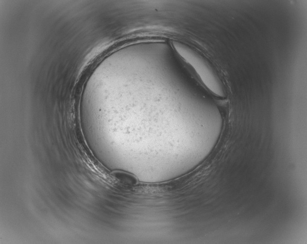 X0000076301164200610201536