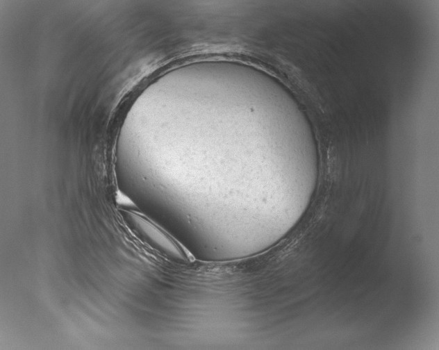 X0000076301165200610201536