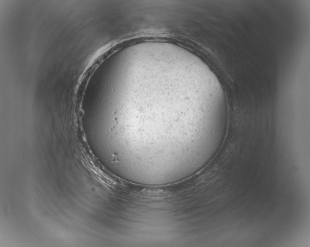 X0000076301168200610201536